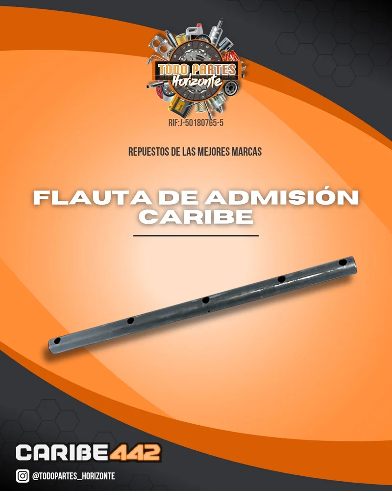 Flauta De Admisión Caribe