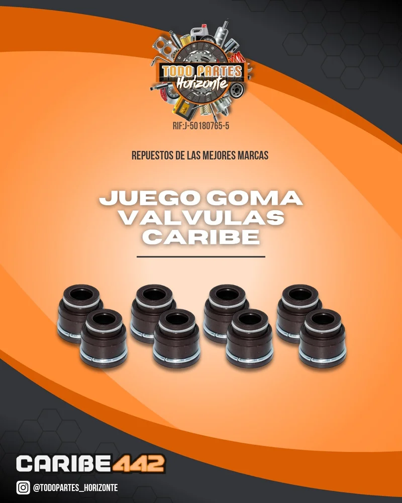 Juego Goma Valvulas Caribe