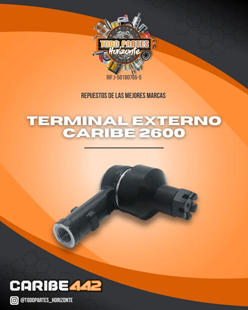 Repuesto TERMINAL EXTERNO CARIBE 2.6 original