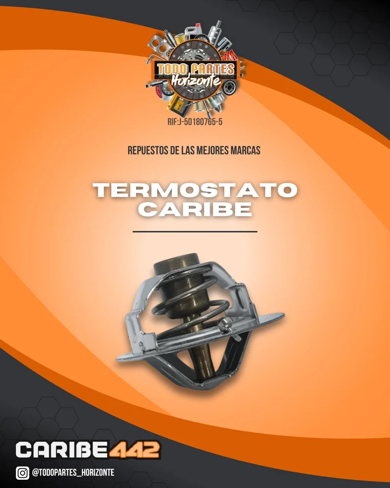 Repuesto TERMOSTATO CARIBE original