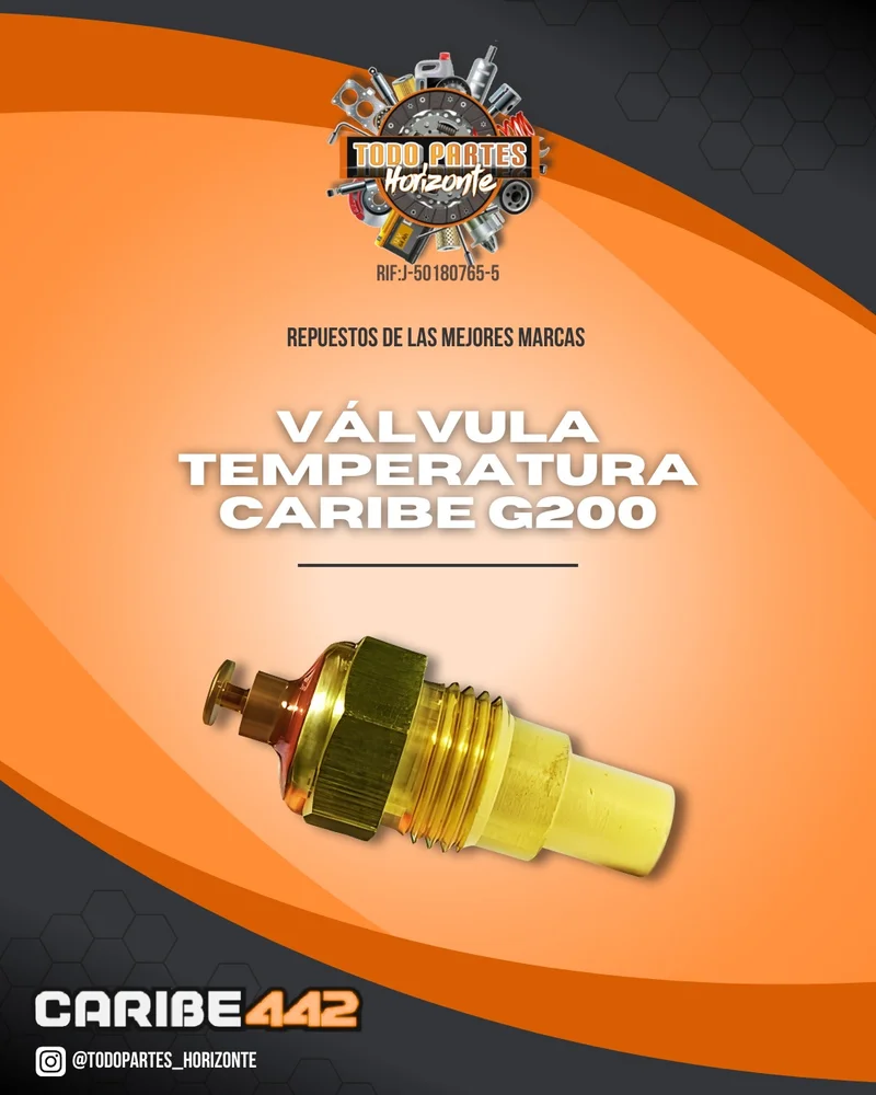 Fotografía de repuesto Valvula Temperatura Caribe G200 original - Todo Partes Horizonte